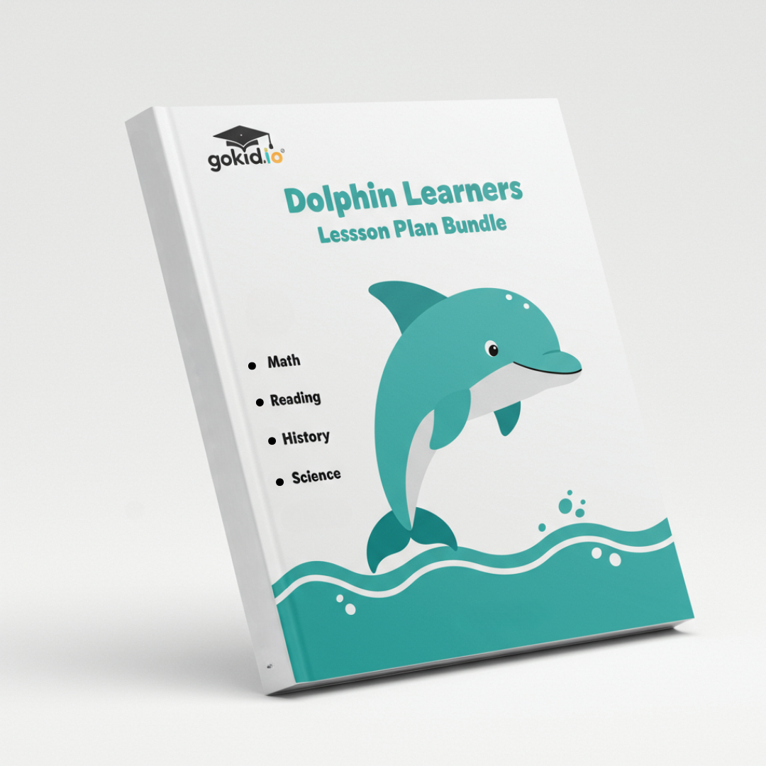 The Dolphin Discovery Bundle